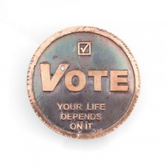 Etched_VoteYourLifeDepends